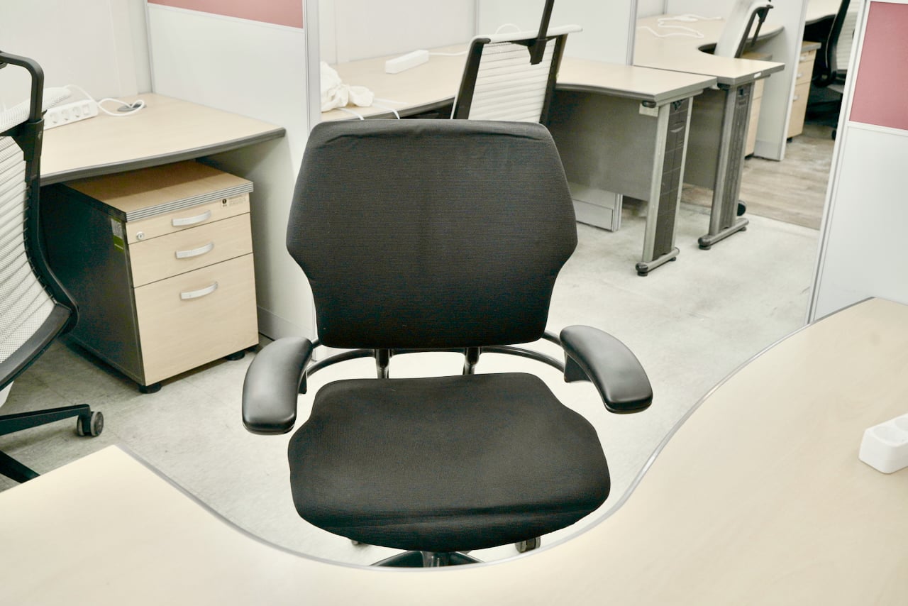 휴먼스케일 프리덤 의자 - 180만원대 최고급 인체공학 의자, 자동 피벗 등받이와 체중 감지 시스템 기능 제공